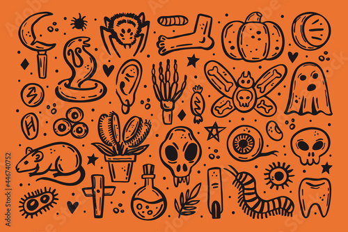 Black scary ink vector Halloween illustration. Skull, druid knife, insect, ghost, rat, poison, eye, pumpkin, bone, cross, spider, rune, tooth, herb, death, danger. Isolated on orange background.