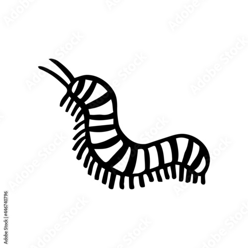 Insect centipede  caterpillar. Black ink vector illustration. Witch element. Halloween design. Day of dead. Isolated on white background.