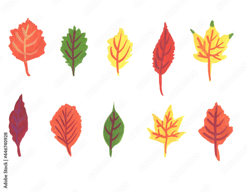 Obraz premium Colorful different autumn leaves on white background
