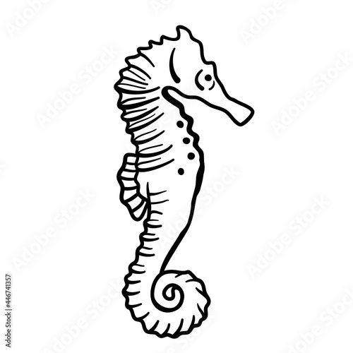 Sea horse black sign outline. Seahorse logo vector isolated on white background.
