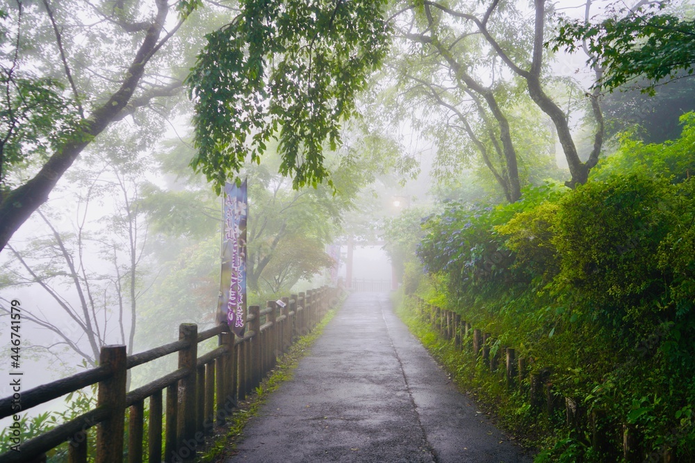 Obraz premium 霧 御岳山 Mist Mount Mitake