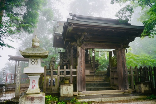 Canvastavla 霧 武蔵御嶽神社 Mist Musashi Mitake Shrine