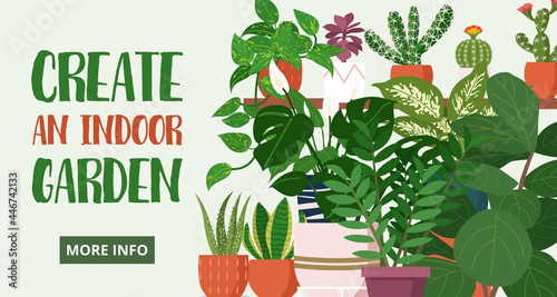 Blog banner, Different indoor houseplants vector template