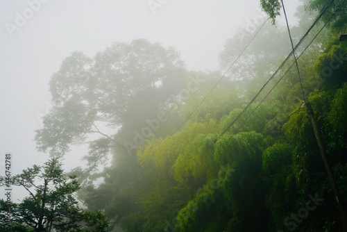               Mist Mount Mitake