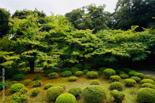 旧古河庭園 kyu furukawa gardens photo