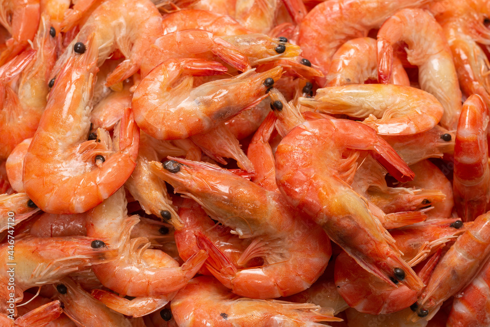 Shrimps background texture. A lot of shrimps. Cooked shrimps. Shrimps background texture. A lot of shrimps. Cooked shrimps.