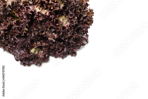 Fresh purple salad isolated on a white background.
