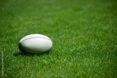 Rugby ball on grass in the stadium. Professional sport concept
