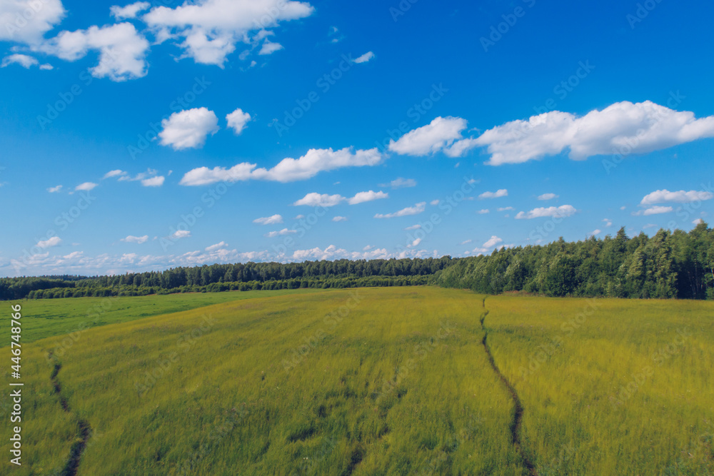 Path in the grass field. Meadow picturesque summer landscape with clouds on blue marvelous sky view background. Green grassland and forest countryside stock photo.