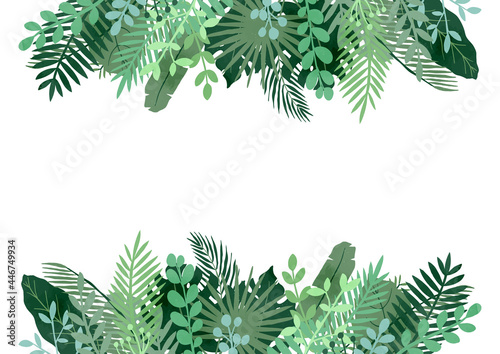 生い茂るナチュラルリーフの飾り枠