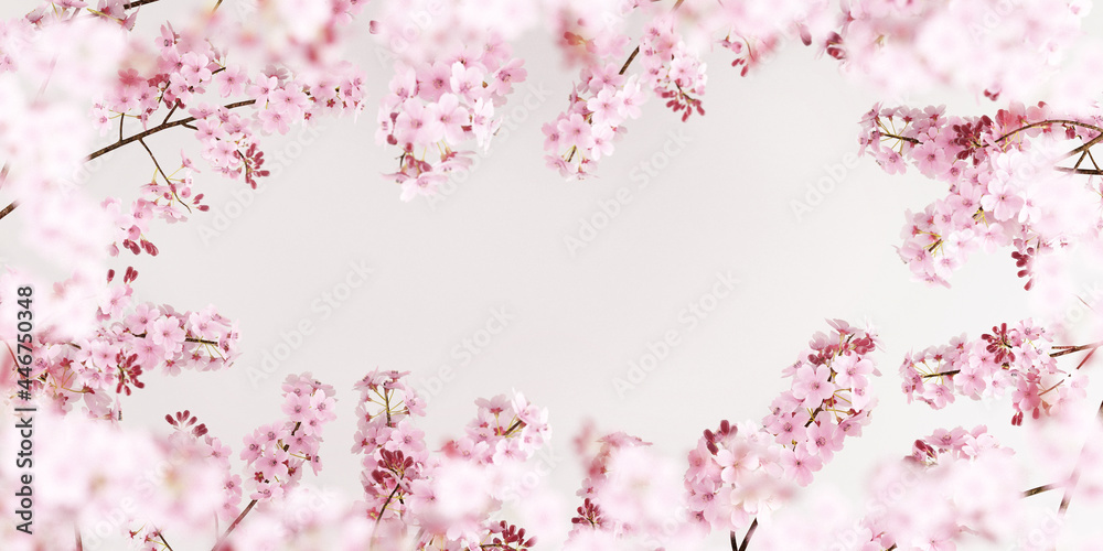 Cherry blossoms on pure white background.for product presentation,posters, brochure,banners.3d rendering illustration