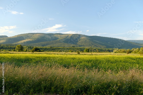 fields in the mountains © DaliCeMedia