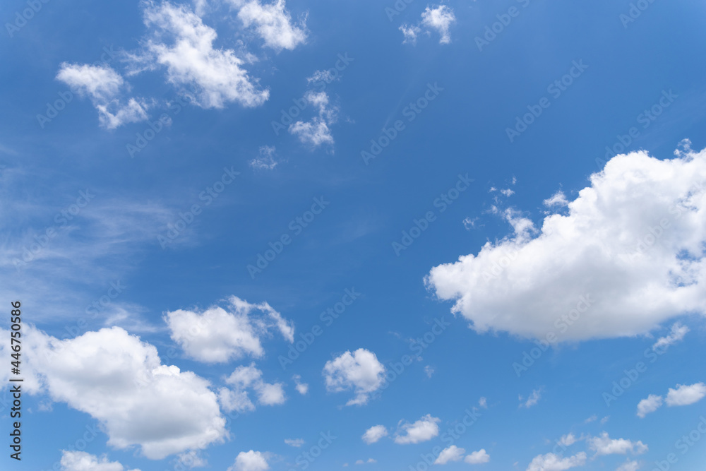 Obraz premium 青い空