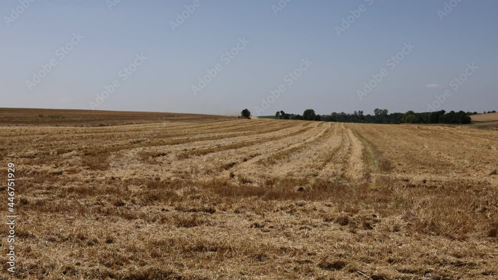 Harvesting campaign. Harvester in the field mows wheat Harvesting campaign. Harvester in the field mows wheat
