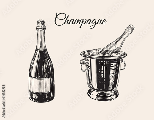 Champagne Bottle Bucket Hand Drawing Vector Illustration Bubbles. Alcoholic Drink.