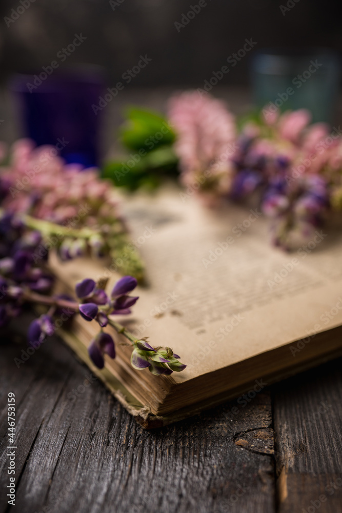 Colorful lupine flowers on the rustic background in atmospheric environment. Selective focus. Shallow depth of field. Colorful lupine flowers on the rustic background in atmospheric environment. Selective focus. Shallow depth of field.