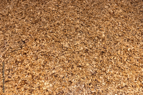 Bark mulch, brown wood chips. Background, Texture