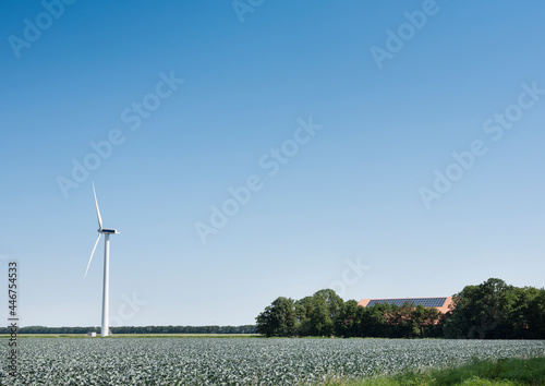 farm with solar panels and wind turbine near red cabbage field in dutch province of noord holland photo