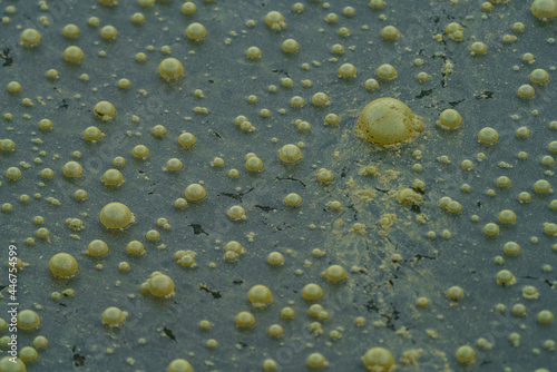 Very dirty water with bubbles closeup view photo