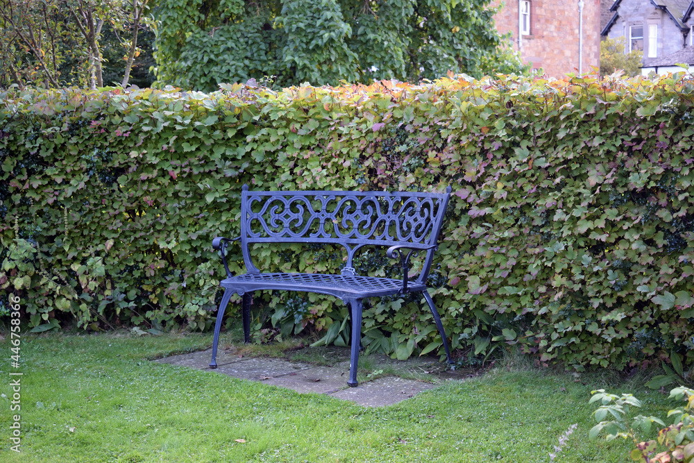 Empty Blue Iron Ornametal Bench in Public Garden against Green Hedge