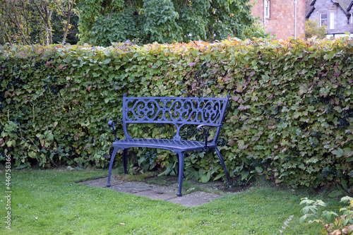 Empty Blue Iron Ornametal Bench in Public Garden against Green Hedge photo
