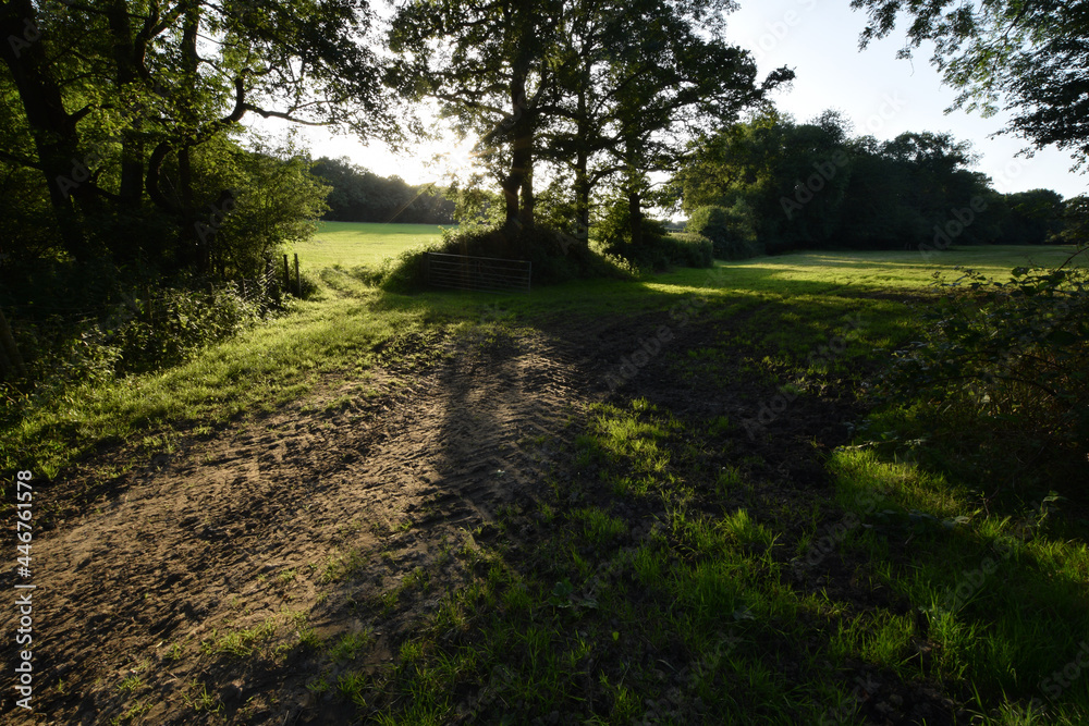 Farmland besides Gibbs Brook Surrey Farmland besides Gibbs Brook Surrey