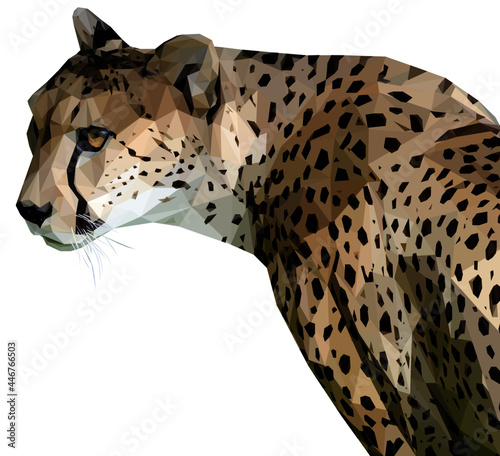 Low poly, geometrical, illustration of an African Cheetah from the side isolated