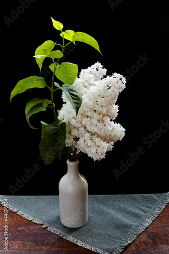 Branch of white blooming lilac flower in a bottle vase. Krasavitsa moskvy (Beauty of Moscow) lilac flower cultivar. photo