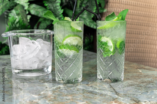 gin tonic mojito glass cocktail water ice lime tropical leaves table drink