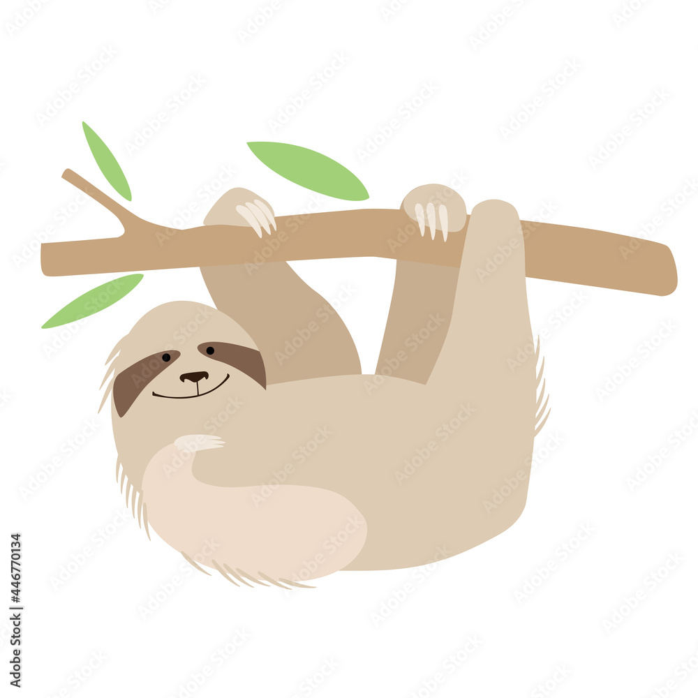 Fototapeta premium A cute cheerful sloth hangs on a branch. Holds with paws. Vector graphics