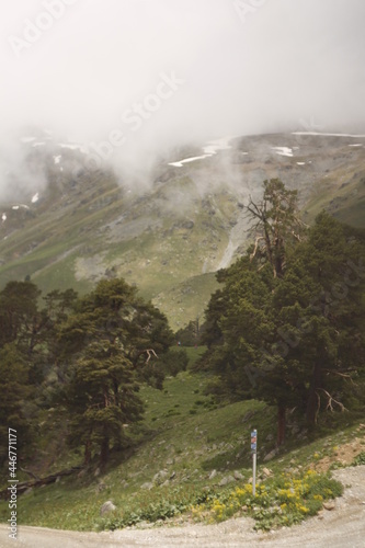mountain path