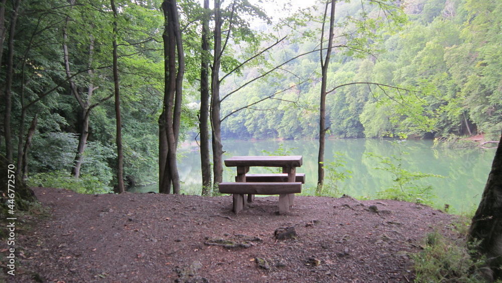 Bench in the woods by the lake. Forest trip. Lake Hámori in the Hungary