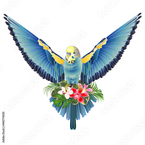 Blue bird  flying budgerigar,green pet parakeet  or budgie or shell parakeet home pet natural and orchids cymbidium palm,philodendron and ficus vintage vector illustration editable hand draw