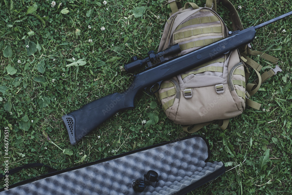 air rifle with telescopic sight , for sport hunting Stock Photo | Adobe ...