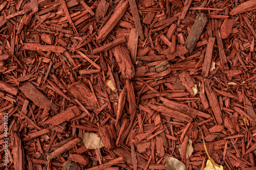 Red shavings from the bark of a tree on the ground. Background image