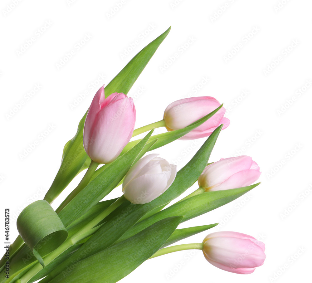 Beautiful bouquet of tulips isolated on white