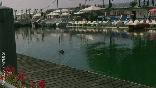 Deux canards dans le port, Neuchâtel