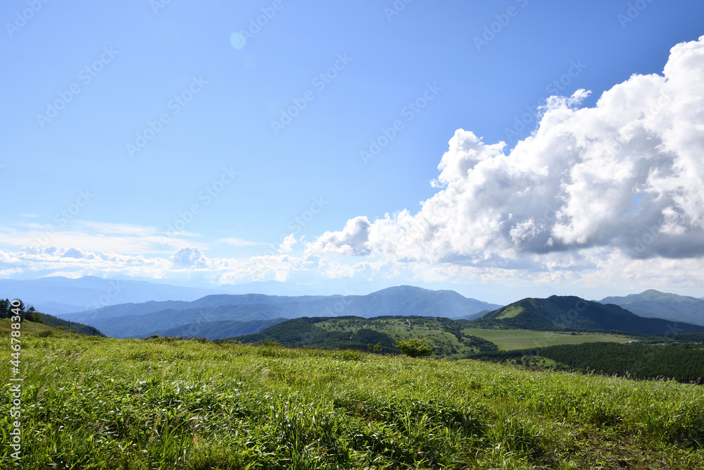 Obraz premium 霧ヶ峰,日本百名山,百名山,湿地,新緑,緑,森,ハイキング,自然,登山,夏,夏山,夏空