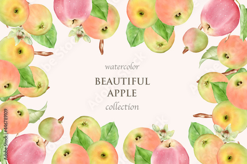hand drawn watercolor apple card set