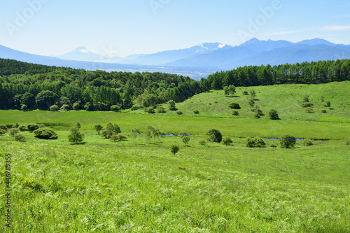 霧ヶ峰,日本百名山,百名山,湿地,新緑,緑,森,ハイキング,自然,登山,夏,夏山,夏空