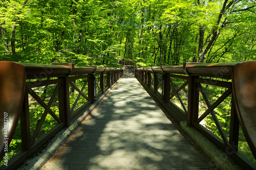 Picturesque view of beautiful park with wooden bridge and trees outdoors