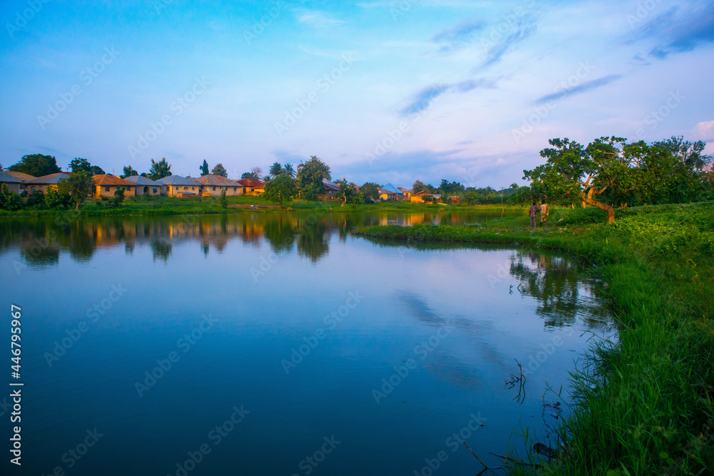 NATURE NATURE