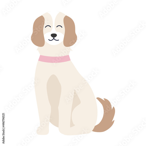 cute white dog