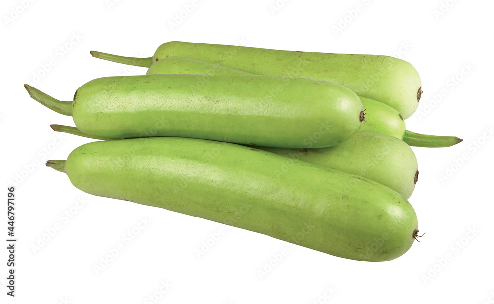 Farm fresh Lagenaria siceraria isolated on white background, Also know as bottle gourd Farm fresh Lagenaria siceraria isolated on white background, Also know as bottle gourd