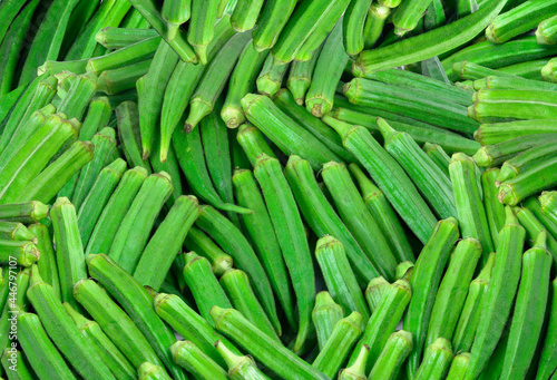 Indian organic vegetables, fresh okra background elements