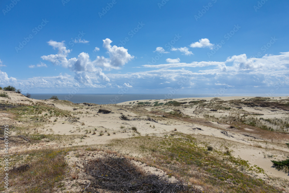 Sand dunes on the Curonian Spit