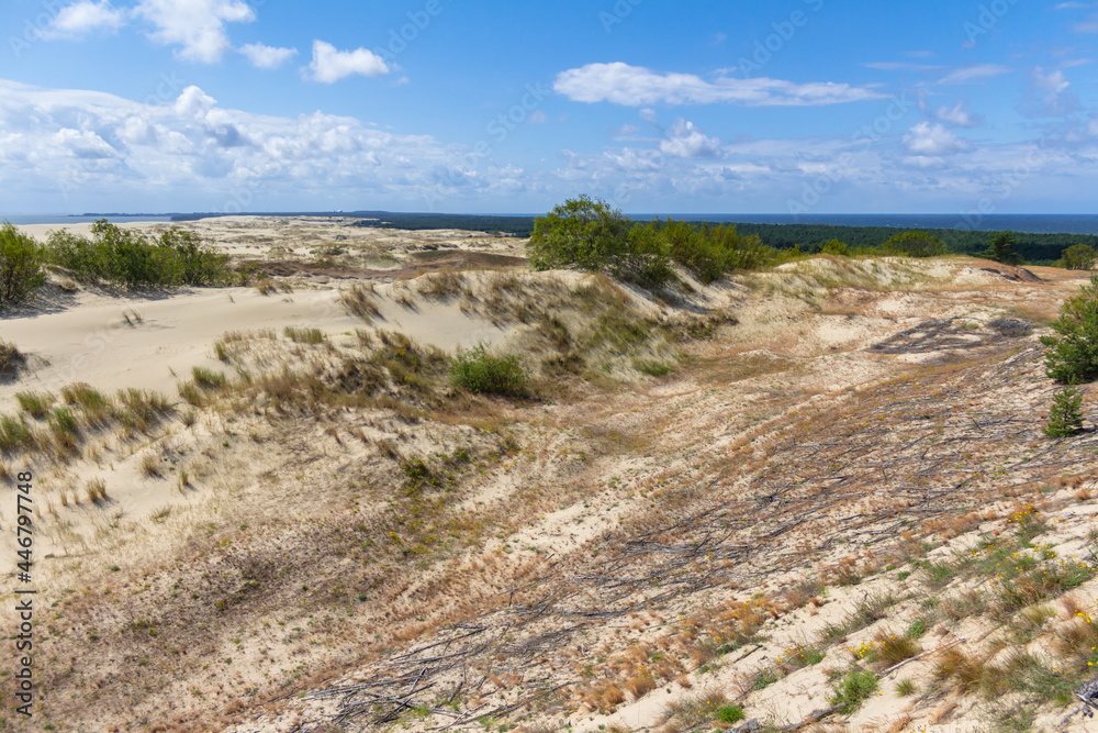 Sand dunes on the Curonian Spit