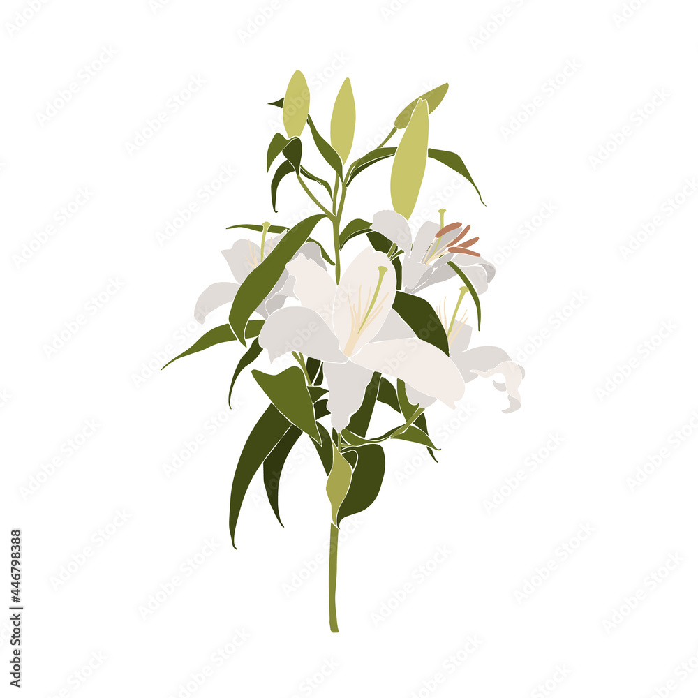 Obraz premium Trendy white lillies. Instagram bouquet of trendy lilly flowers. Set of Abstract feminine vector illustrations. Summer trendy simple icons. Instagram post, business advertisement, flyer design.