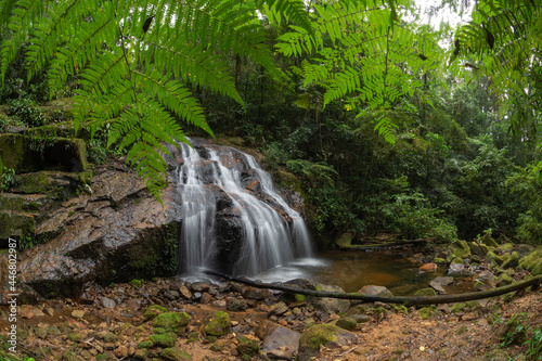 Pequena cachoeira de água pura no meio da floresta preservada na Serra do Mar no Paraná, Brasil. 