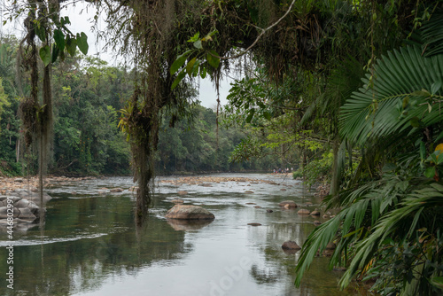 Rio de águas puras na Serra do Mar no Paraná no meio da Floresta Atlântica preservada. Brasil.  photo